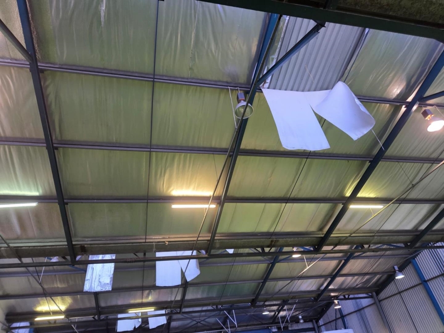 To Let commercial Property for Rent in Bellville Central Western Cape